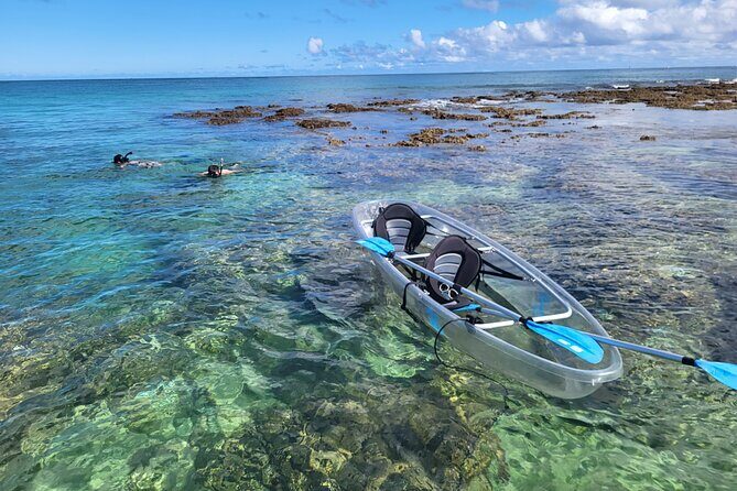 Clear Bottom Kayak - Guaranteed to see Turtles! - Key Points
