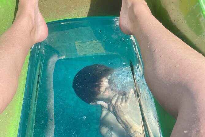 Clear Bottom Kayak Rentals in Kailua-Kona - An In-Depth Look at Clear Bottom Kayak Rentals in Kailua-Kona