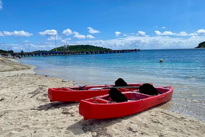 Clear Bottom Kayaking and Snorkel Reef Exploration - Key Points