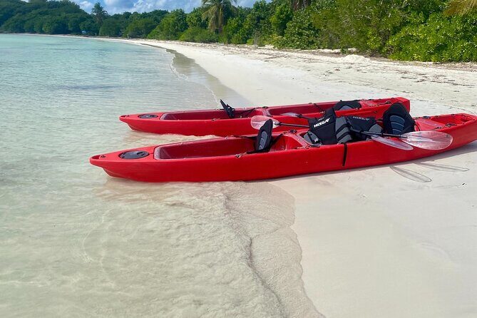 Clear Bottom Kayaking and Snorkel Reef Exploration - A Closer Look at What You Can Expect