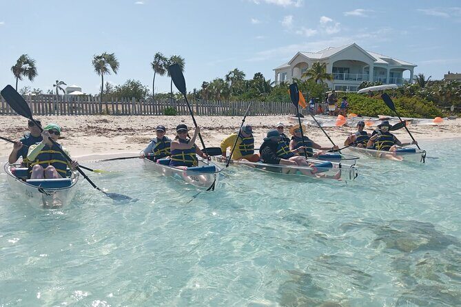 Clear Bottom Kayaks Mangrove Tour - Why This Tour Is a Great Choice