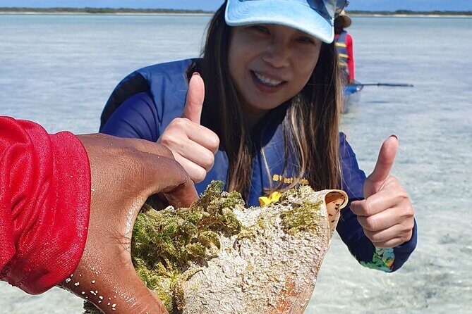 Clear Bottom Kayaks Mangrove Tour - The Sum Up