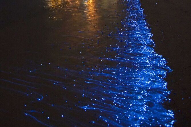 CLEAR BOTTOM KAYAKS Tour in Bioluminescent, Mosquito Bay - Vieques Bioluminescent Bay Kayak Tour: A Natural Light Show