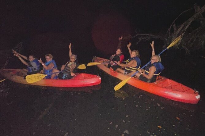 CLEAR BOTTOM KAYAKS Tour in Bioluminescent, Mosquito Bay - Who Will Enjoy This Tour?