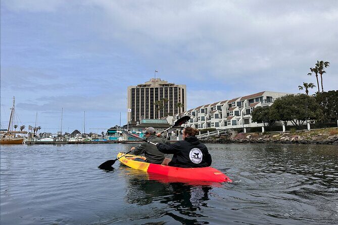 Clear Bottomed Kayak Rentals in San Diego - Discover San Diego from a Different Perspective: Clear Bottomed Kayak Rentals