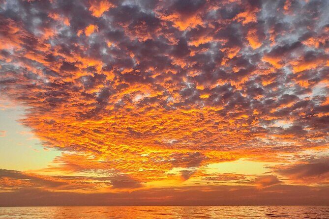 Clear Bottomed Kayak Rentals in San Diego - The Sum Up