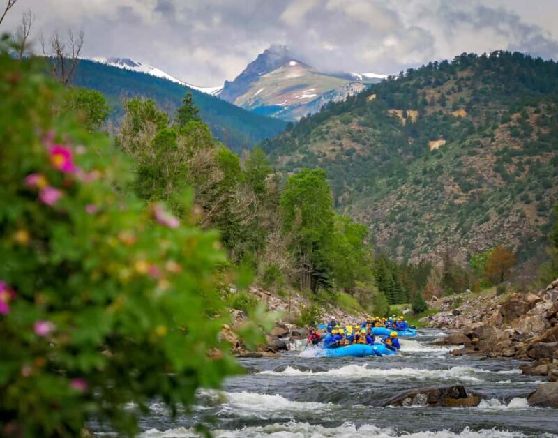 Clear Creek: Intermediate Rafting Trip - Pricing and Value