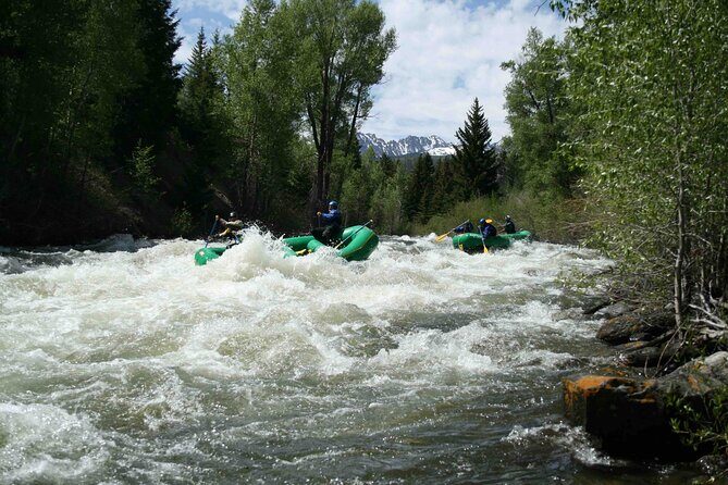 Clear Creek Whitewater Rafting Trip: Advanced Challenge - Who Should Consider This Trip?