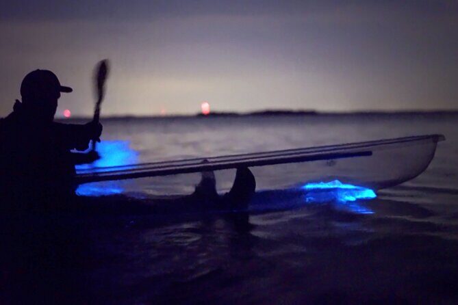 Clear Kayak Bioluminescence Tour - Cocoa Beach - What You Can Expect on the Tour