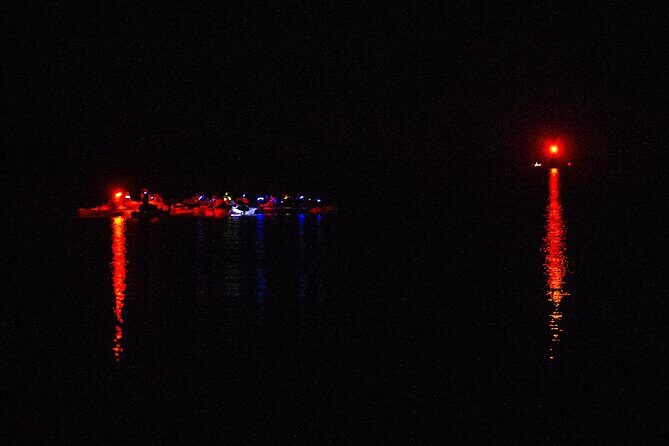 Clear Kayak Bioluminescence Tour - Cocoa Beach - Authentic Experiences from Travelers