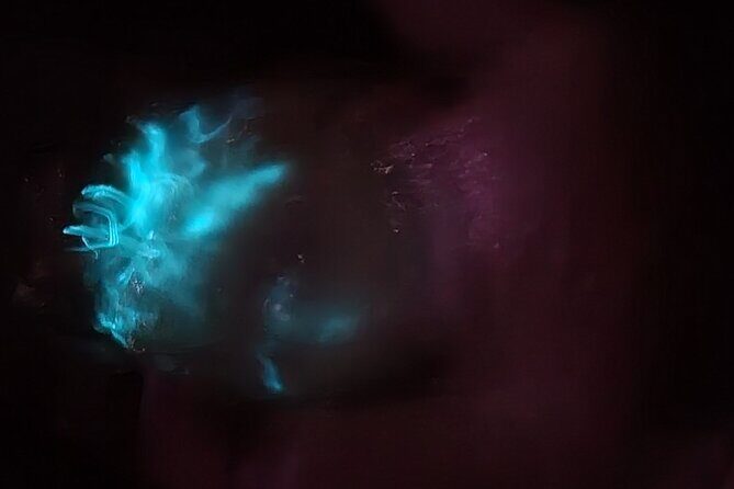 Clear Kayak Bioluminescence Tour - Cocoa Beach - Practical Details for Travelers