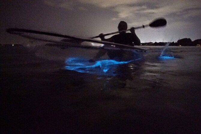 Clear Kayak Bioluminescence Tour - Experience the Magic of the Clear Kayak Bioluminescence Tour in Cocoa Beach