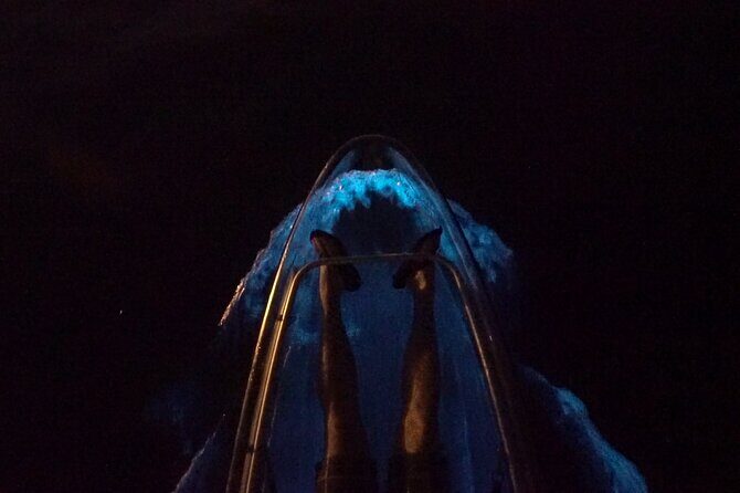 Clear Kayak Bioluminescence Tour - Key Points