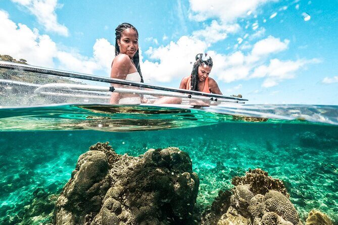 Clear Kayak Coral Reef Tour in Grenada - Frequently Asked Questions