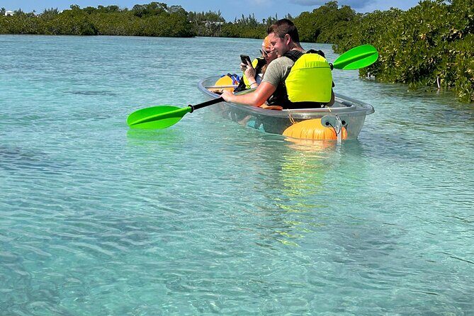 Clear Kayak Eco Tour Explore Mangroves and Meet the Turtles - Who Will Love This Tour?