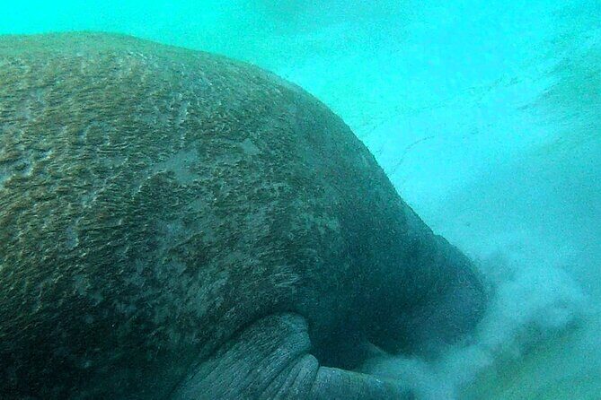 Clear Kayak Eco Tour in Jupiter, Florida - The Itinerary in Detail