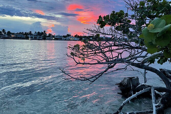 Clear Kayak Eco Tour in Jupiter, Florida - Authentic Experiences from Guests
