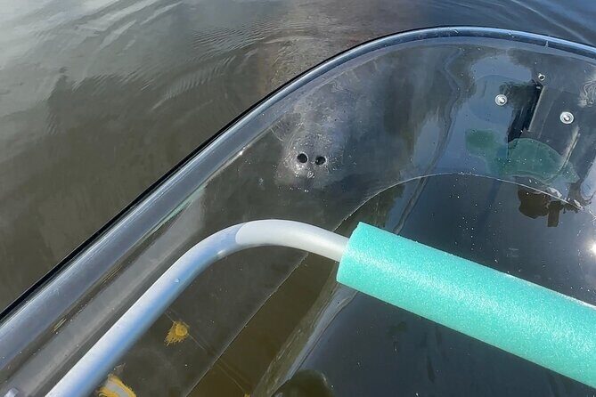 Clear Kayak Ecotour at Robinson Preserve in Bradenton, Florida - Key Points