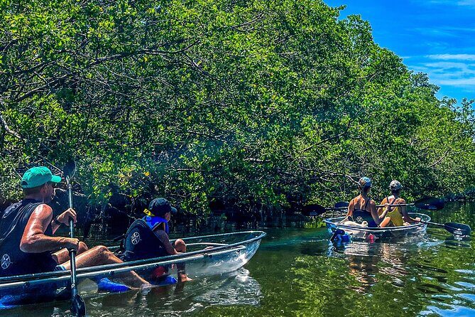 Clear Kayak Ecotour at Robinson Preserve in Bradenton, Florida - Who Will Love This Tour?