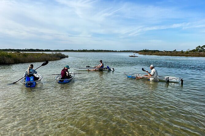 Clear Kayak Ecotour Destin Ft. Walton Beach - Key Points