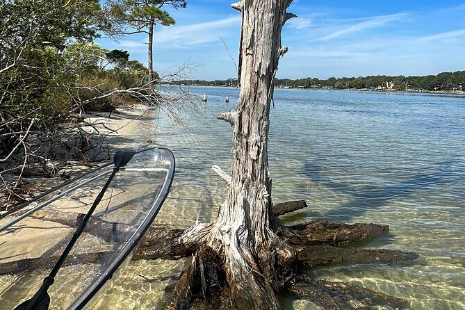 Clear Kayak Ecotour Destin Ft. Walton Beach - Practical Tips for Your Kayaking Adventure