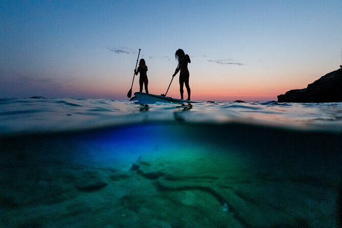 Clear Kayak Glow Night Tour - A Detailed Look at the Tour Experience