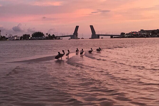 Clear Kayak Glow Tour - The Practical Side: What to Know Before You Go