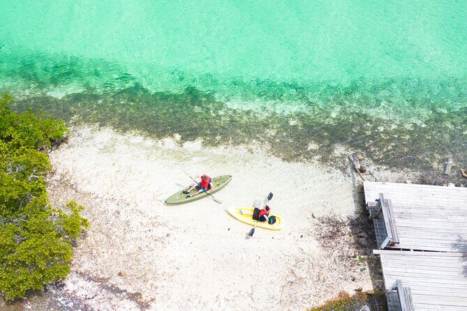 Clear kayak Grand Turk Island Kayak Tour of the mangroves - The Value of This Experience