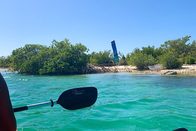 Clear kayak Grand Turk Island Kayak Tour of the mangroves - The Sum Up: Who Should Book?