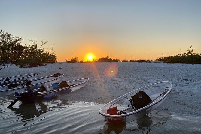 Clear Kayak Guided Eco Tour in North Naples - A Complete Look at the Clear Kayak Guided Eco Tour in North Naples