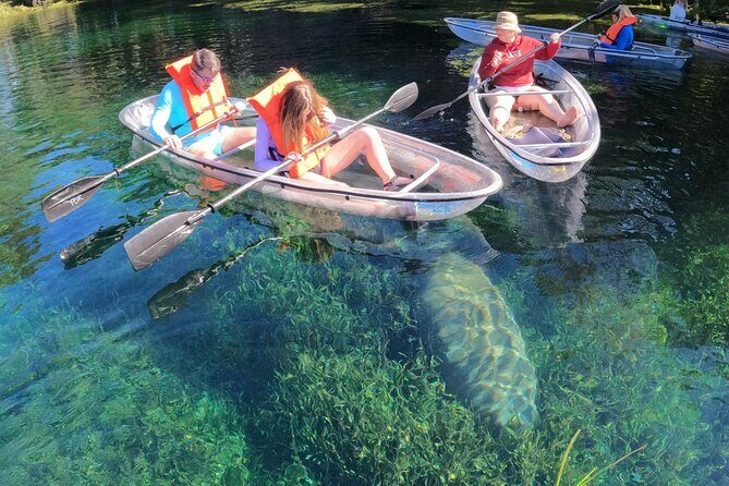 Clear Kayak Manatee Ecotour of Crystal River - Authentic Experiences and What Travelers Say