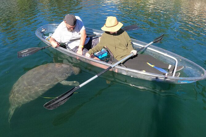 Clear Kayak Manatee Ecotour of Crystal River - Who Would Love This Tour?