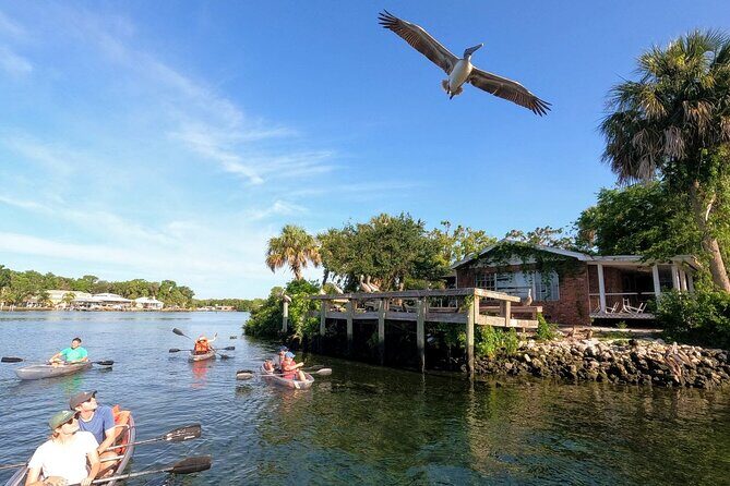 Clear Kayak Manatee Viewing Sunset and Glow Tour of Crystal River - Key Points
