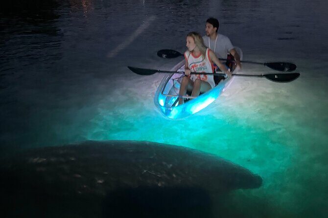 Clear Kayak Manatee Viewing Sunset and Glow Tour of Crystal River - Who Will Love This Tour?