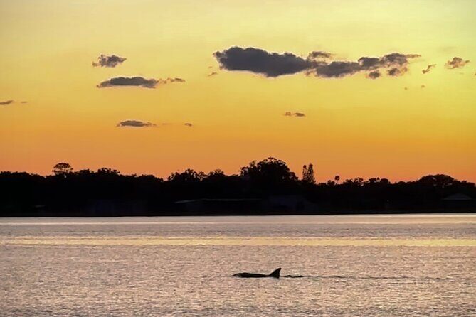 Clear Kayak Manatee Viewing Sunset and Glow Tour of Crystal River - FAQ