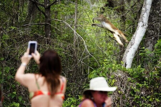 Clear Kayak or Paddleboard Manatee Adventure - Key Points