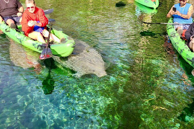 Clear Kayak or Paddleboard Manatee Adventure - Who Should Consider This Tour?