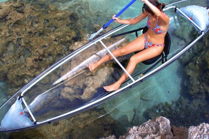 Clear Kayak Private Guided Day and Night Tours in Florida - Why This Tour Works