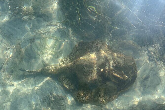 Clear Kayak RentalPeanut Island/West Palm Beach - A Detailed Look at the Experience