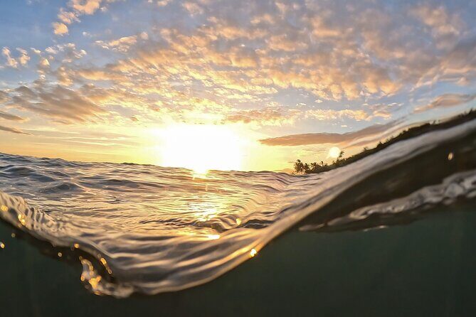 Clear Kayak Sunset and Glow Tour in Maui - Key Points