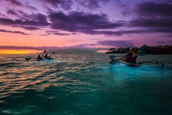 Clear Kayak Sunset and Glow Tour in Maui - The Sum Up