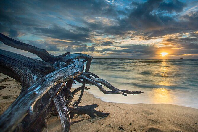 CLEAR Kayak Sunset & Light Tour - Bonita Springs / Ft Myers Beach - FAQ