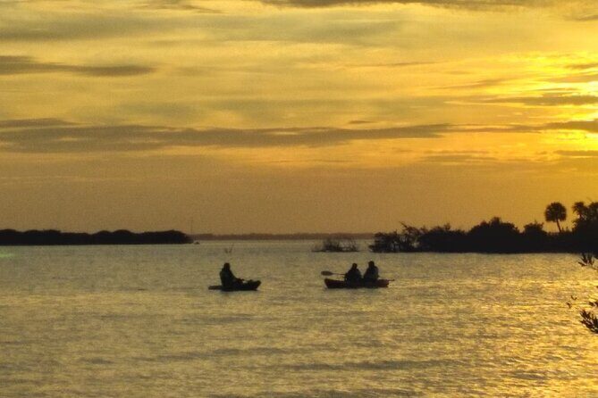 Clear Kayak Sunset Tour - Cocoa Beach - Why This Tour Offers Great Value