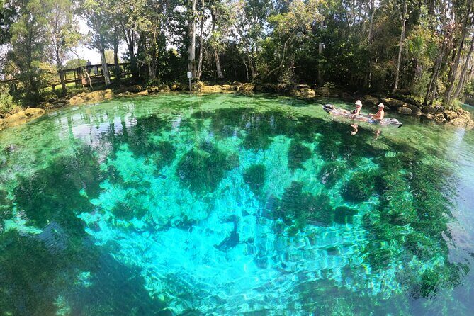 Clear Kayak Three Sisters Springs Sunset and Glow Tour - Key Points