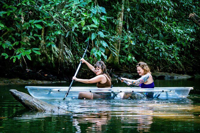 Clear Kayak Tour at Punta Uva - In-Depth Look at the Punta Uva Clear Kayak Tour