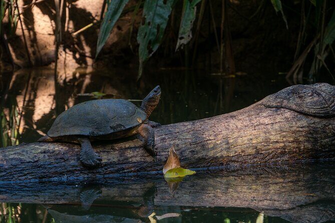 Clear Kayak Tour at Punta Uva - Who Will Love This Tour?