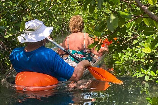Clear Kayak Tour - Considerations Before Booking