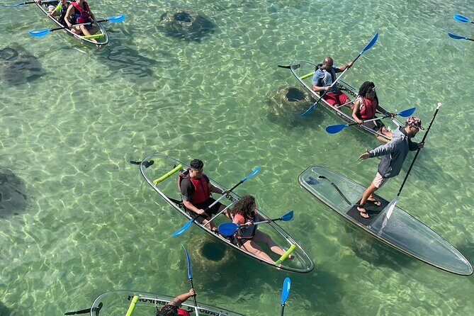 Clear Kayak Tour in Condado Lagoon - Clear Kayak Tour in Condado Lagoon: A Relaxing & Educational Water Escape