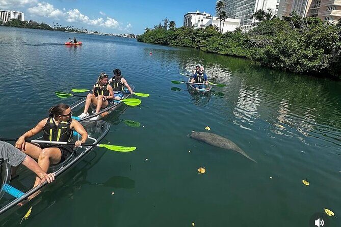 Clear Kayak Tour in Condado Lagoon - Key Points