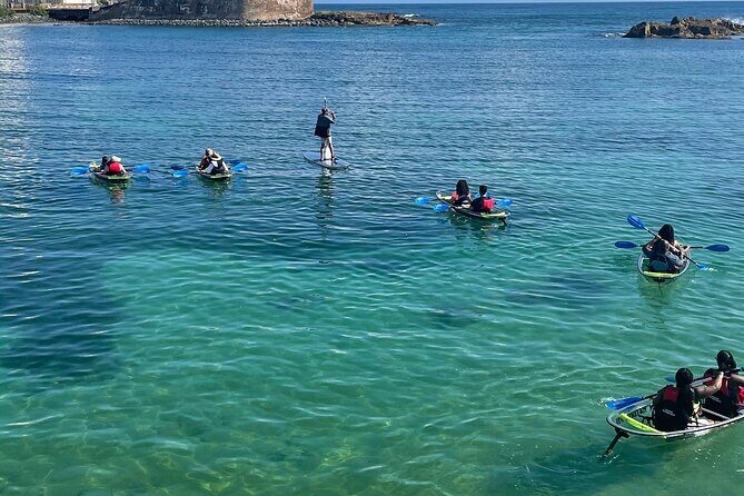 Clear Kayak Tour in Condado Lagoon - Authentic Experiences and Real Reviews